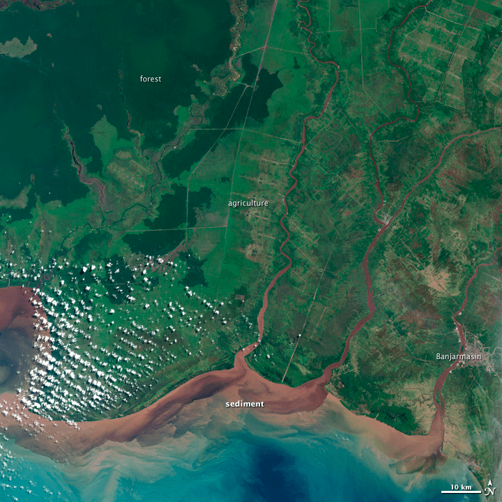 Kalimantan, Borneo, Indonesia. Image Credit: Jesse Allen, Robert Simmon, and Michael Taylor, NASA, Landsat.